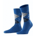 Burlington Tagessocke Edinburgh SO royalblau Herren - 1 Paar